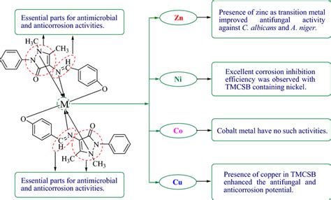 Structure Activity Relationship Download Scientific Diagram