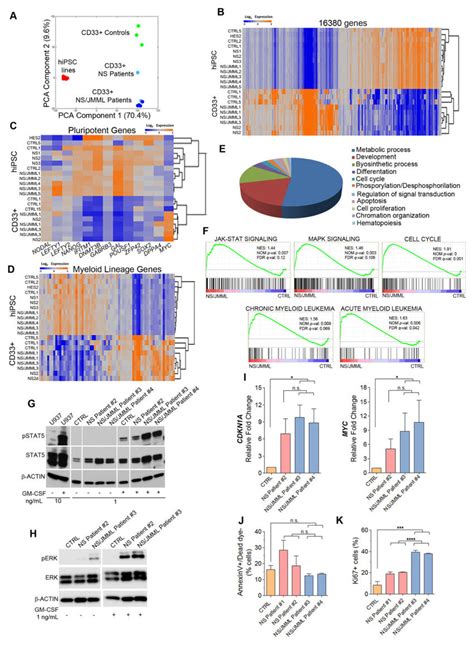 Profiling Analyses In Cd33 Myeloid Cells And Specific Dysregulated Download Scientific Diagram