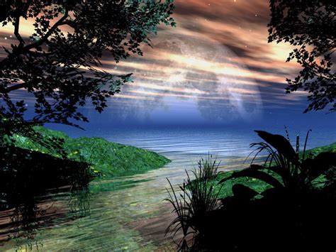 Swamp Free Nature Wallpaper