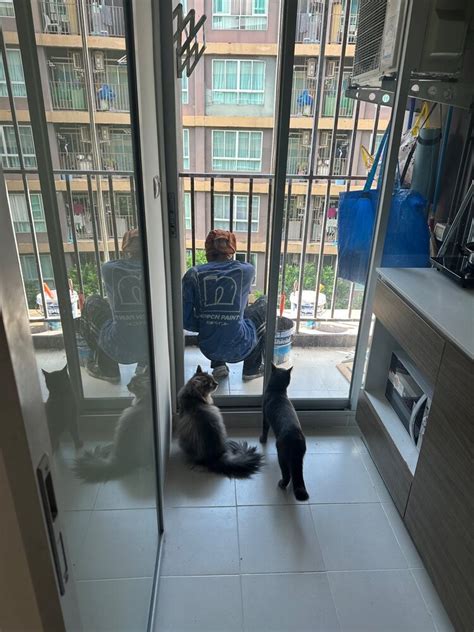 Murmuriel Channel Page XVIDEOS