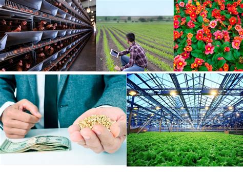 What Is Agribusiness Agribusiness Education And Research International