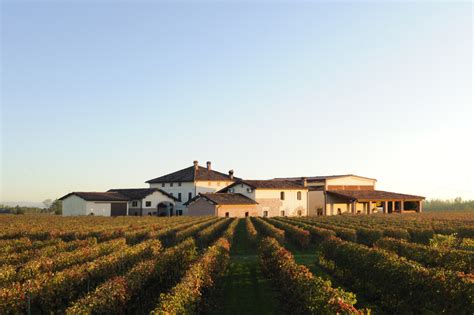 Balsamic Farm The Magic Of Traditional Balsamic Vinegar Medici Ermete