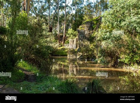 Plenty River And Gorge Mill Park Victoria Australia Stock Photo Alamy