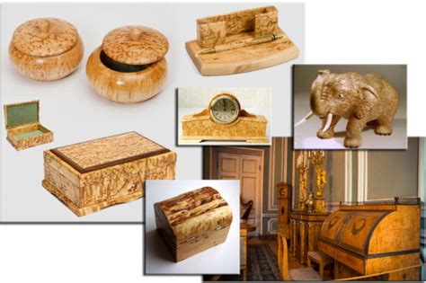 Карельская береза: отличия от обычной, текстура, применение