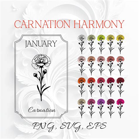 Carnation Birth Flower SVG Bundle Birth Month Flower PNG Frame Design