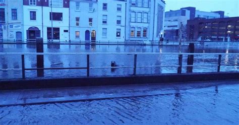 Gallery: Floods, February 3 - Irish Mirror Online