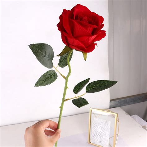 Single Rose Flower