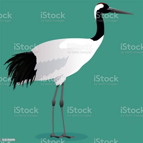 Red Crowned Crane Cartoon Stock Illustration Download Image Now