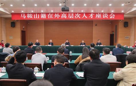 马鞍山籍在外高层次人才座谈会召开——马鞍山新闻网