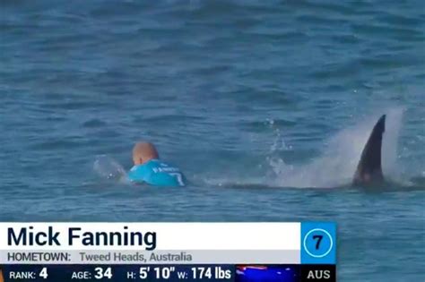 Surfer narrowly escapes shark attack in South Africa | Environment | Al