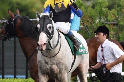 【函館記念】連覇を狙ったハヤヤッコは5着まで 浜中俊騎手「一番の影響は斤量」｜競馬ニュース｜競馬予想のウマニティ