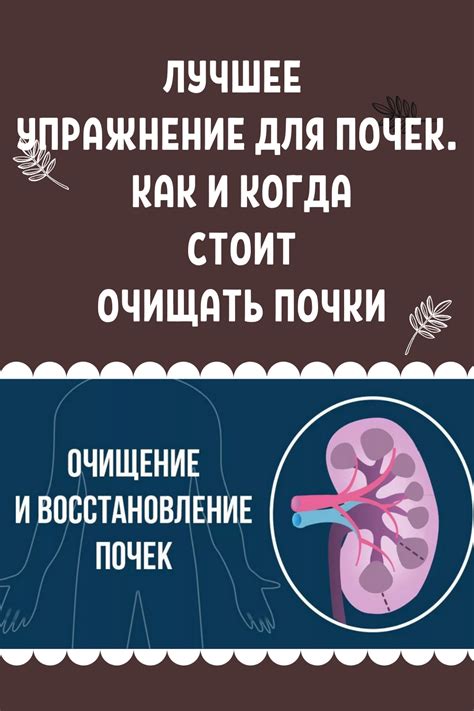 Лучшее упражнение для почек. Как и когда стоит очищать почки!
