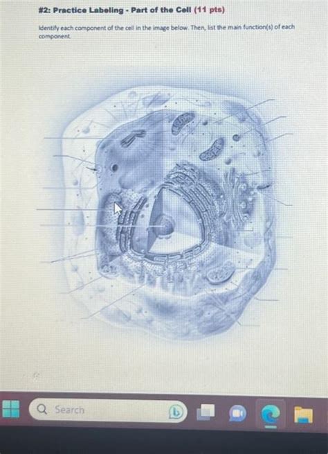 Solved # 2: Practice Labeling - Part of the Cell (11 pts) | Chegg.com