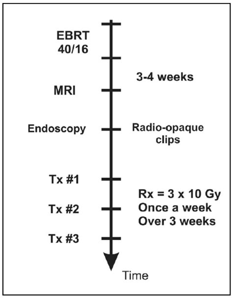 Cancers Free Full Text Image Guided Brachytherapy For Rectal Cancer