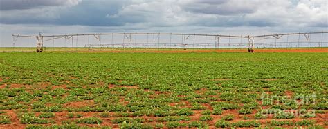 Farming Equipment On A Peanut Farm Photograph By Jim Westscience Photo