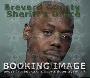 Recent Booking Mugshot For KELSEY FERNANDR PETERSON In Brevard County