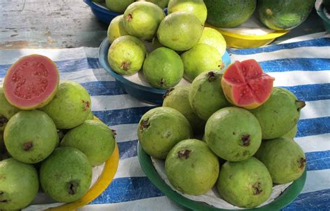 Frutos Tipicos Do Brasil - 8