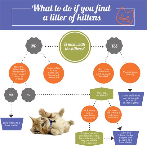 kearney area animal shelter