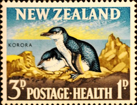 New Zealand (138) 1964 Health - Korora - Little Penguin | Pet birds