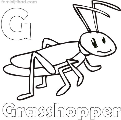 grasshopper coloring pages kids grasshoppers color printable colouring