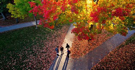 slideshows wordpress community  practice bates college