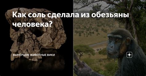 Как соль сделала из обезьяны человека? | Вымершие животные вики | Дзен