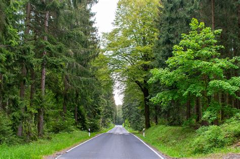 Strada Di Campagna Foto Gratis Su Pixabay Pixabay