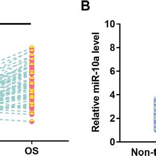 PCED1B AS1 And MiR 10a Expression Was Altered In OS Expression Of