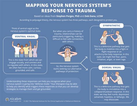 Mapping the Nervous System’s Response to Trauma - NICABM