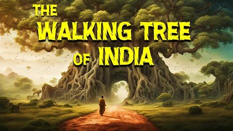 The Mighty Banyan Indias Incredible Walking Tree Youtube