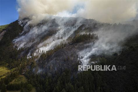 Kebakaran Hutan Melanda Pegunungan Nemocon Kolombia Republika Online