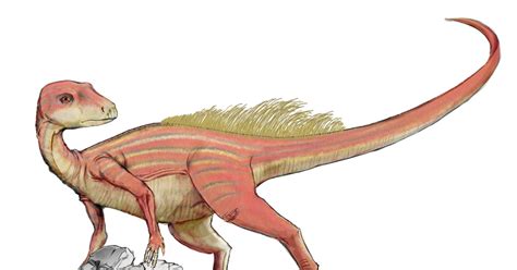 Абриктозавр - Травоядный динозавр | Пикабу