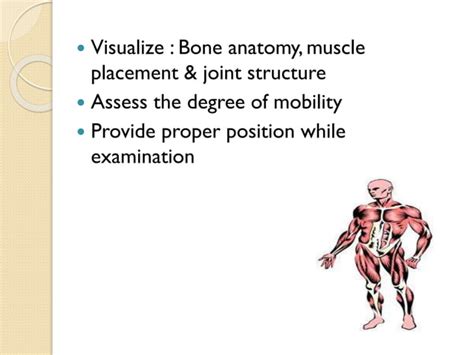 Examination Of Musculoskeletal System PPT