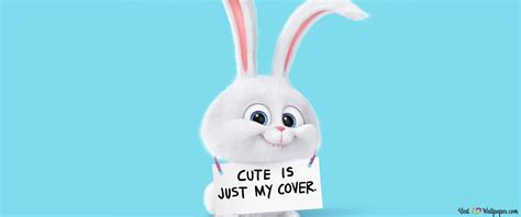 Кролик из тайная жизнь домашних животных картинки - 64 фото