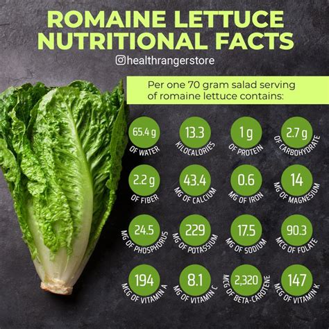 Romaine Lettuce Nutritional Facts Lettuce Nutrition Lettuce Calories
