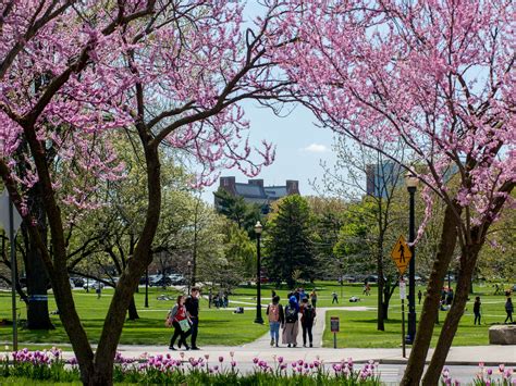 Images | The Ohio State University