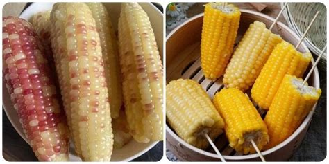 nen  ngo luoc vao bua