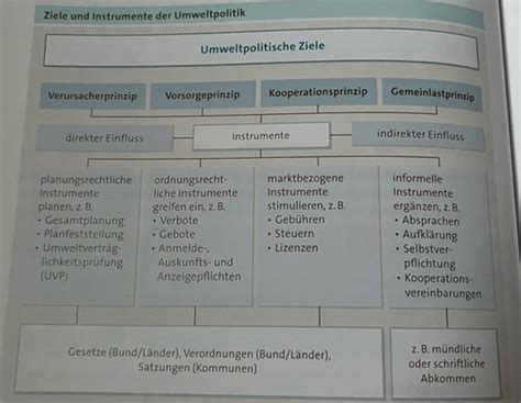 Vwl 4 Grundlagen Der Wirtschaftspolitik Ii Karteikarten Quizlet