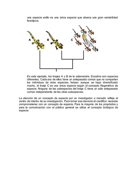 Otros Conceptos De Especie PDF