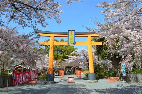 6 Best Temples To See Cherry Blossoms In Kyoto Great Places In Kyoto