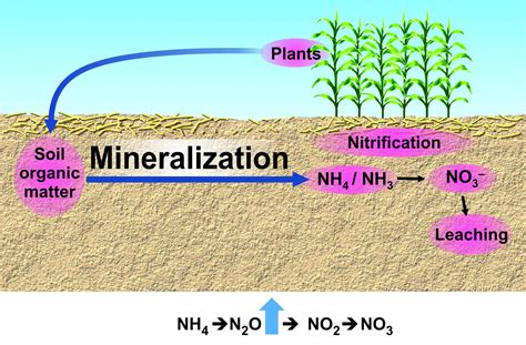 Nitrogen Dynamics UNL Water