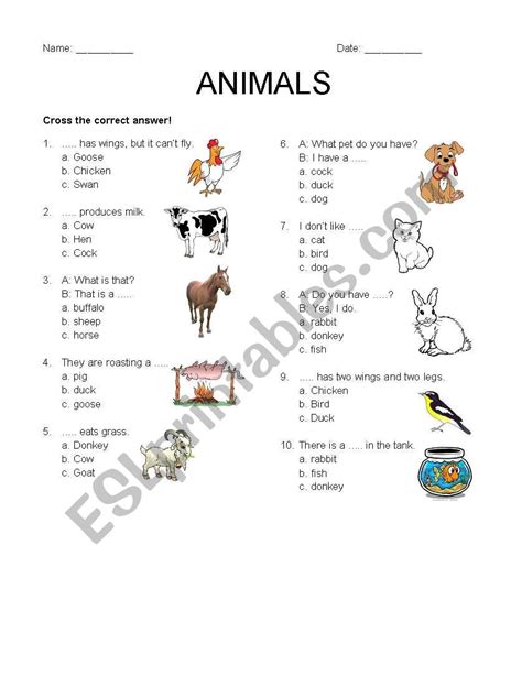 English Worksheets Animal Around Us