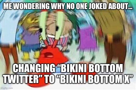Bikini Bottom X R Bikinibottomtwitter