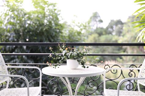 Asiatic Jasmine: Top Grow and Care Tips
