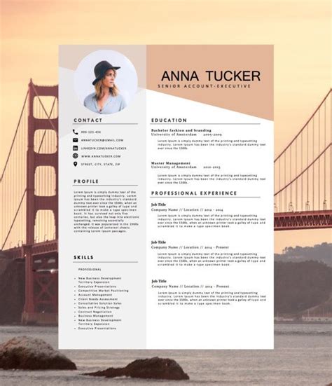 pin  cv template