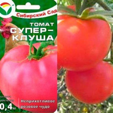Семена цветов. Магазин семян цветов. Семена комнатных цветов в Санкт ...