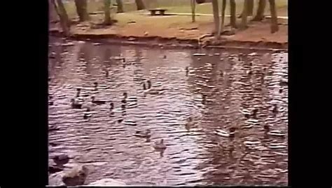 Hot And Deep Assholes The Unforgettable Episode XHamster