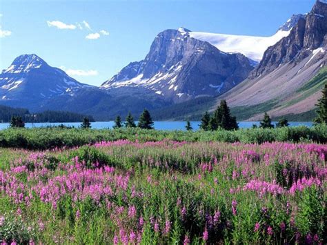 turismo  canada febbraio