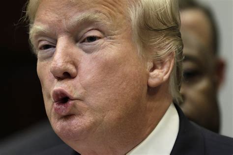 The 14 Most Bizarre Things Donald Trump Apparently Believes