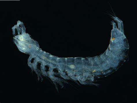 subterranean newsroom university  adelaide